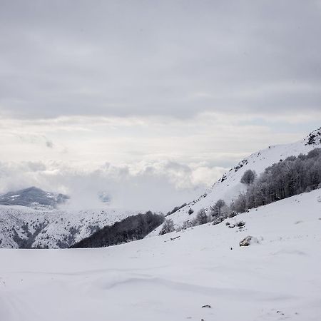 Holiday Home Floris Kopaonik Buitenkant foto