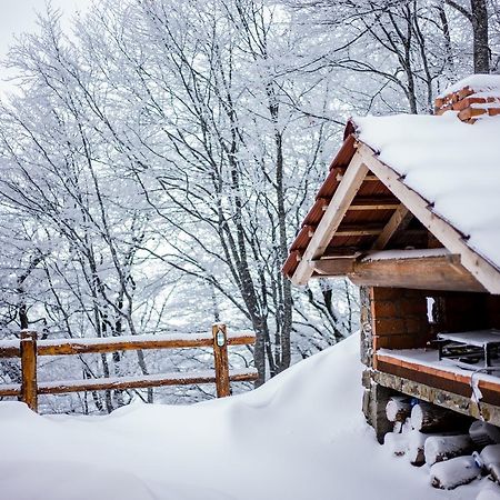 Holiday Home Floris Kopaonik Buitenkant foto