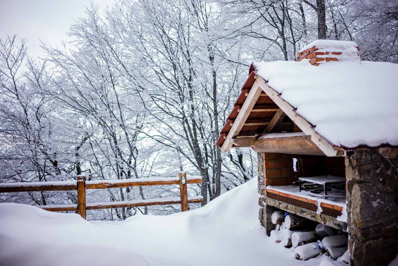 Holiday Home Floris Kopaonik Buitenkant foto